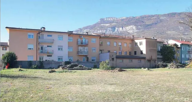Scontro sul taglio degli alberi per far spazio al cantiere del nuovo liceo artistico Depero