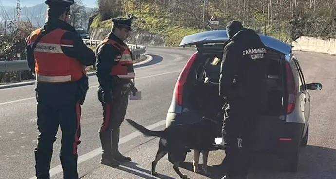 Operazione antidroga dei carabinieri: sequestrati 400 grammi di cocaina, coinvolte 14 persone