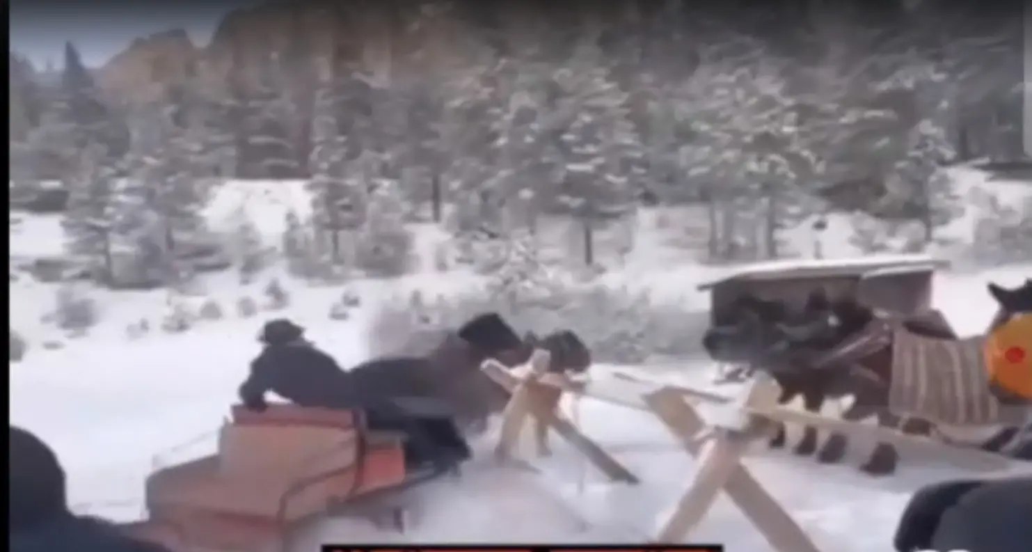 Alta Badia, i cavalli imbizzarriti mentre trainano la carrozza sulle piste da sci: scatta una denuncia