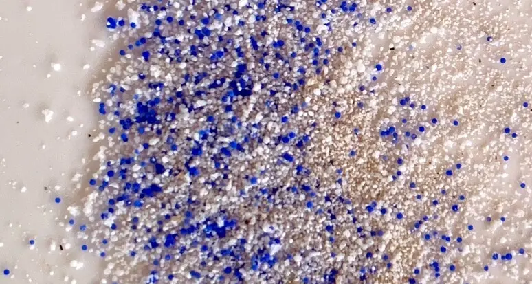 Microplastiche nei suoli agricoli: Lucia Coppola lancia l'allarme