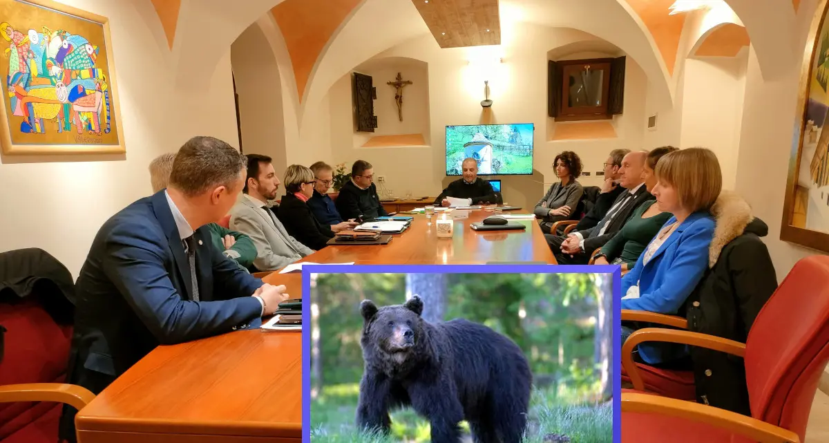 La Provincia tira dritto: in Trentino da abbattere 24 orsi in tre anni. Il Wwf: \"Decisione anti-scientifica\"
