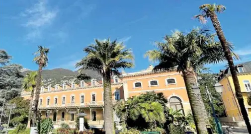 Le palme attaccate dalla farfalla Paysandisia Archon: 3.500 piante da abbattere