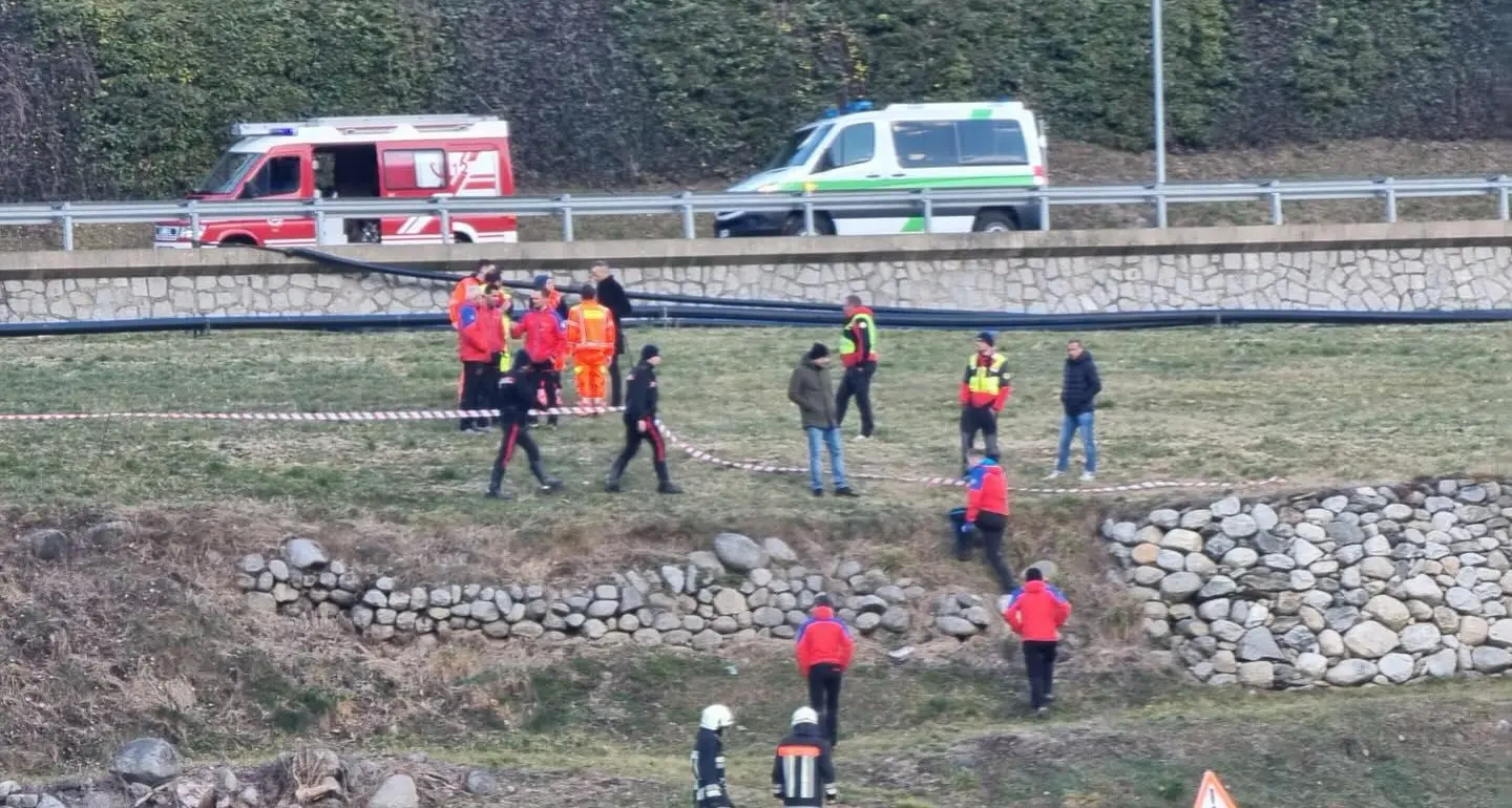 Uomo di 73 anni aggredito da un lupo o da un cane: il decesso in ospedale