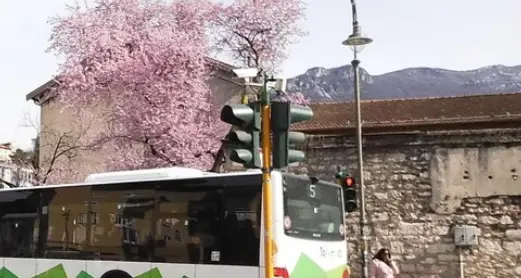 Trentino Trasporti, bilancio in attivo: cala l'indebitamento, crescono i passeggeri