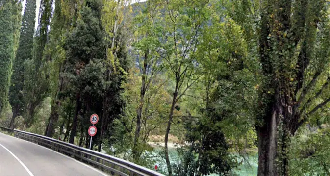 Gardesana, piante pericolanti da tagliare: due notti di chiusura all'altezza di Castel Toblino