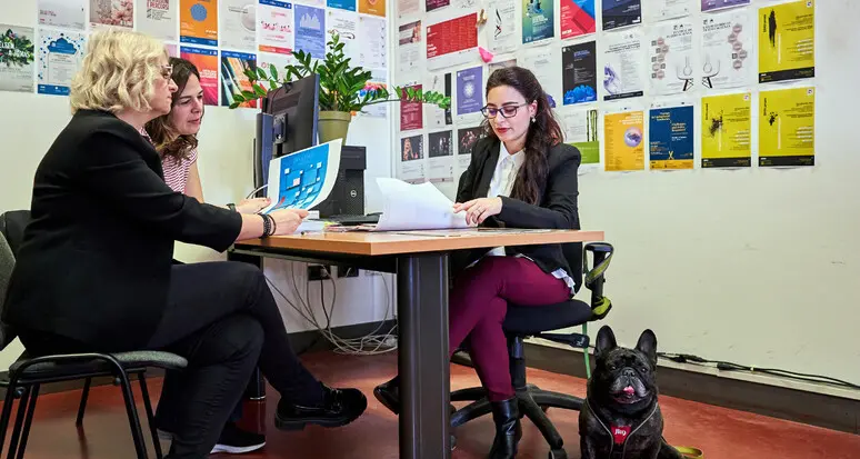 Università di Trento, così il personale può tenere in ufficio il cane o il gatto (ma al guinzaglio)