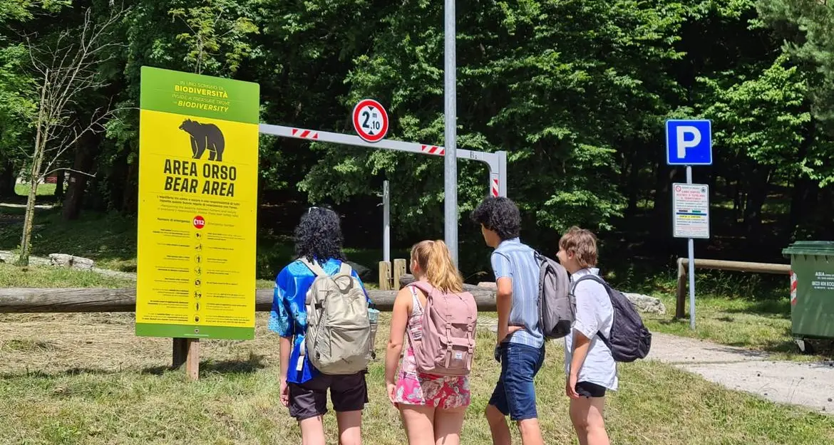Orsi e comportamento nei boschi: la Provincia colloca cinquemila cartelli informativi