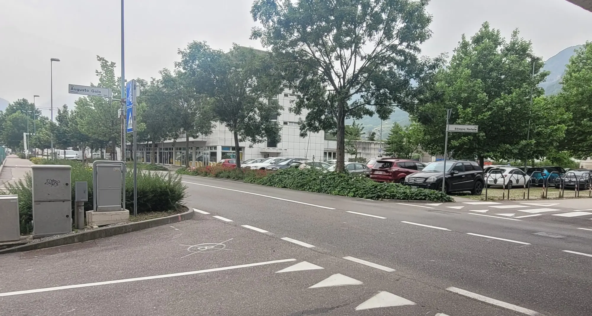 La morte di Annamaria Frioli: «Dobbiamo ripensare la città separando le auto dalle bici»»