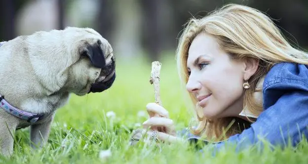 Biancofiore: bella l'iniziativa con i cani in Bibliteca ad Ala, valorizzare la pet-therapy