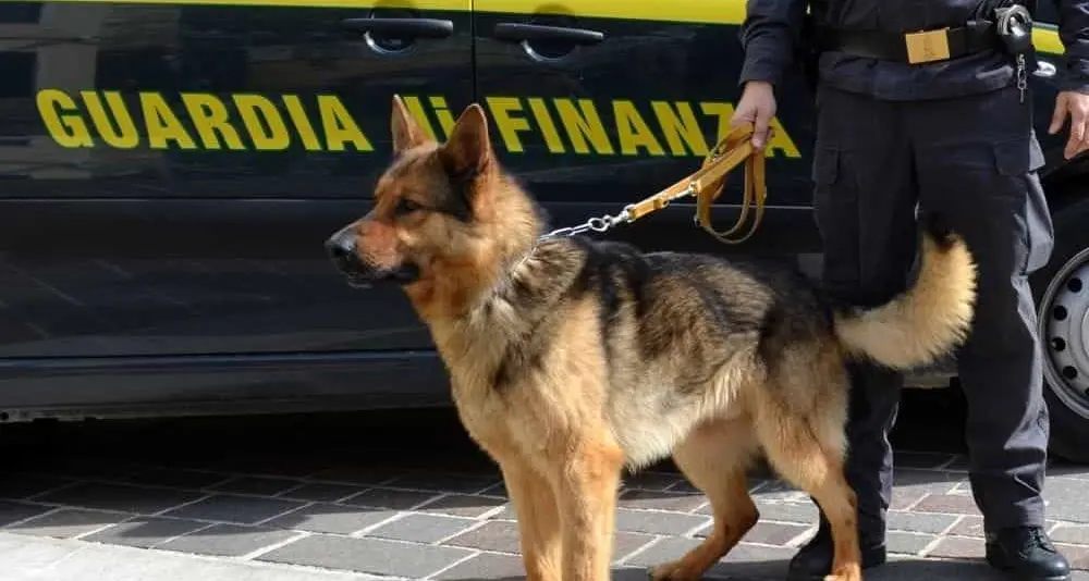 Passo Resia, il cane antidroga scopre un quintale di hashish nel bagagliaio