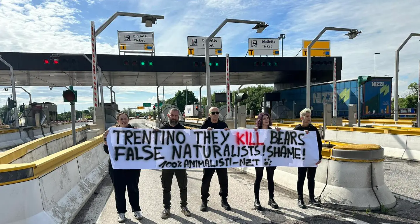 Protesta contro l'uccisione di orsi in Trentino: attivisti al casello dell'A22