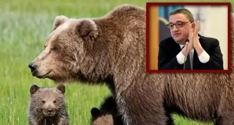 L'Oipa a Fugatti: \"Non firmi un nuovo decreto di abbattimento. Si rispettino le norme a tutela degli orsi\"