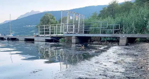 «Mucillagine, a Caldonazzo e Calceranica bagni in sicurezza: spiagge non colpite»