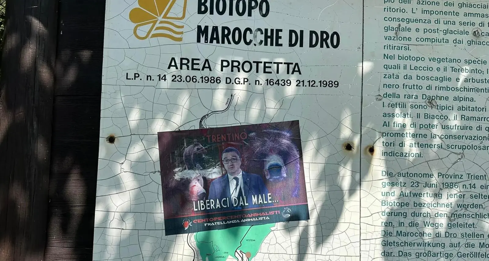 Orsi, blitz animalista contro Fugatti: volantini affissi sui cartelli stradali, dal Bondone a Dro