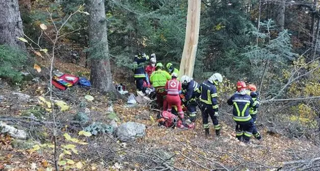Boscaiolo di Cavalese ruzzola per 20 metri mentre lavora in val Cadino: soccorso dall'elicottero