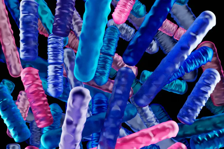 Sono io, il tuo microbiota