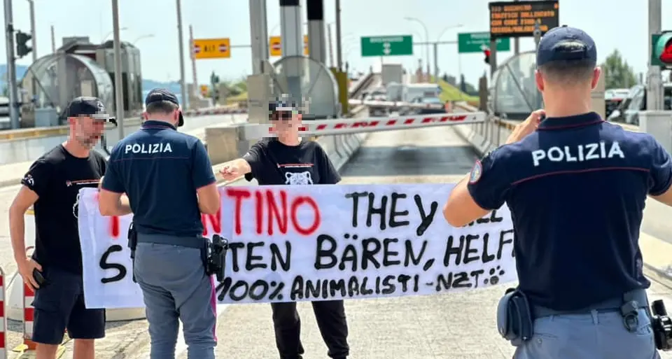 \"Difendiamo gli orsi\", nuovo blitz animalista contro la Provincia: azione al casello A22