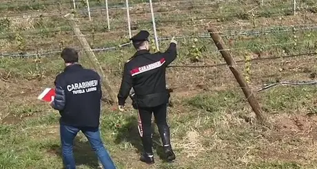 Contrasto al caporalato in agricoltura, sanzioni per due aziende in Vallagarina