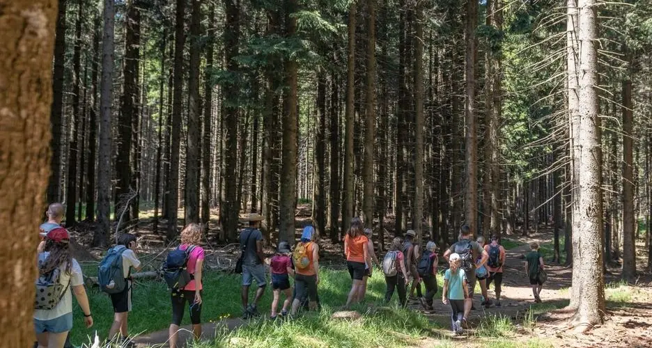 Ecco il MICO-weekend, sul Bondone alla scoperta del mondo nascosto dei funghi
