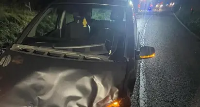 Orso investito da un'auto a Vezzano: nessun ferito, l'animale è fuggito