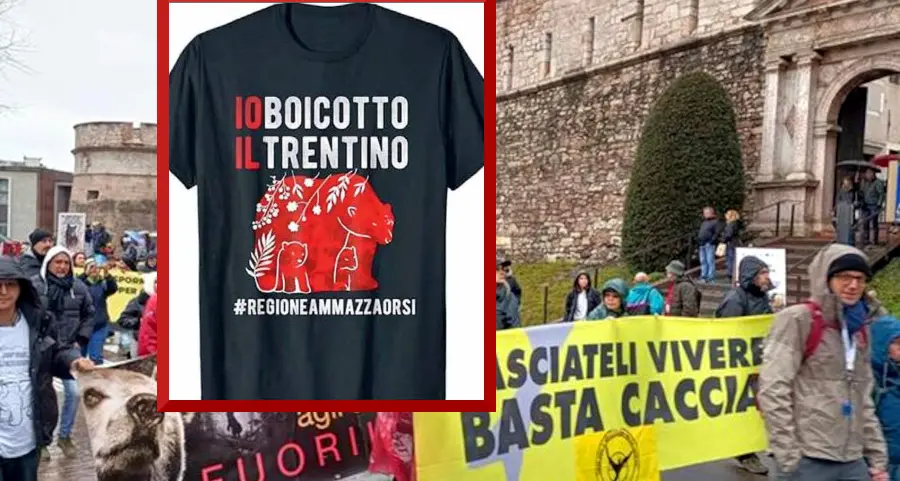 Caso orsi e magliette contro il Trentino, la Provincia chiede lo stop e Amazon risponde ok