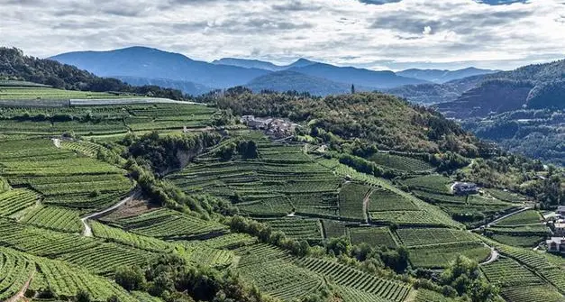 \"Dolo-Vini-Miti\" celebra i vini \"verticali\" e molto altro