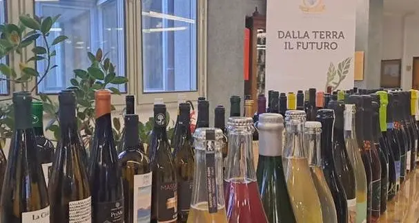 Torna la rassegna internazionale dedicata ai vigneti resistenti con la fondazione Mach