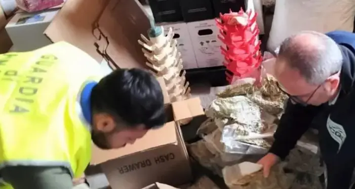 Sequestrati luppolo e licheni in un'azienda, scoperti ricavi non dichiarati al fisco