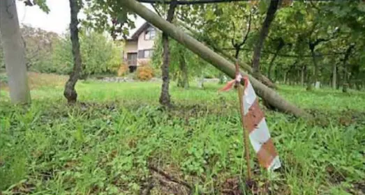 Bypass, a Mattarello nuova occupazione: sacrificati altri 2.500 mq di vigneto