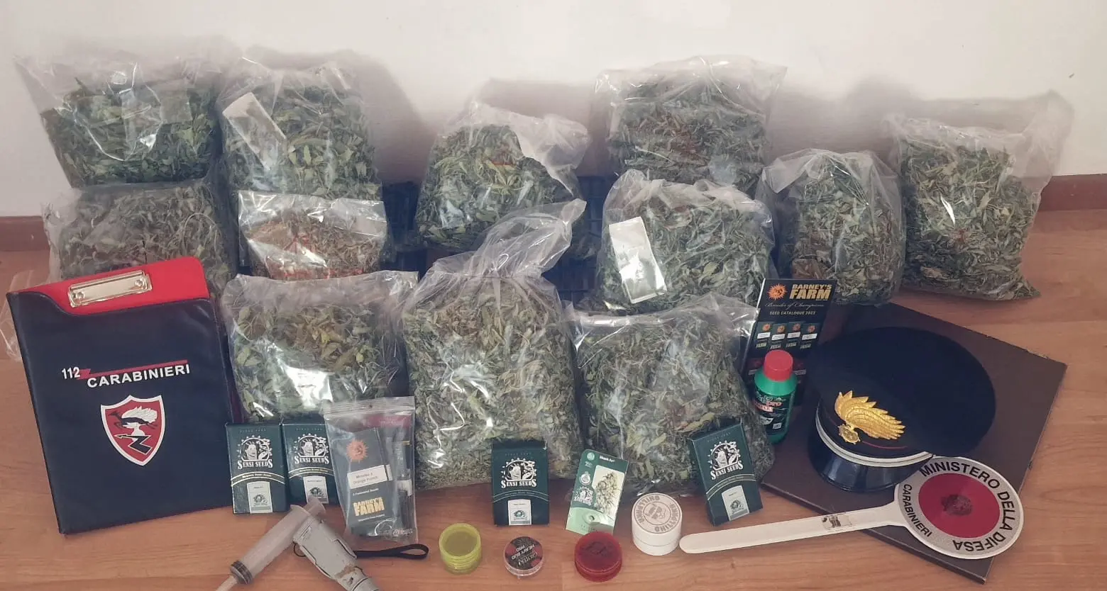 Coltivava 25 piante di marijuana in giardino: denunciato dai carabinieri