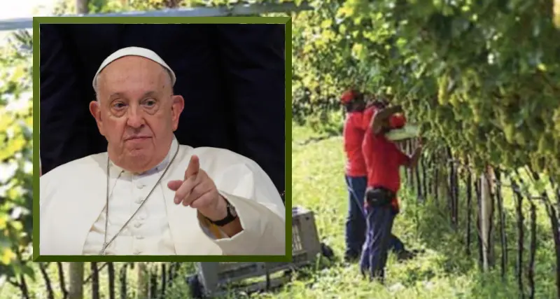 Migranti e lavoro, papa Francesco attacca: «Li chiamano per le mele e poi li mandano via»
