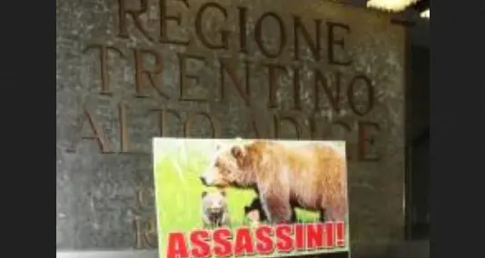 Il Tar conferma il foglio di via per una militante animalista