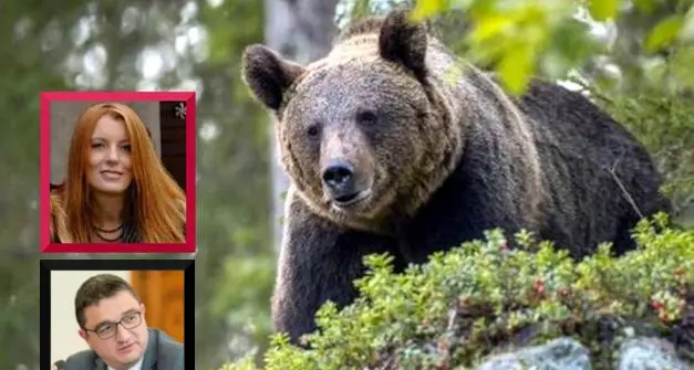 Orso ucciso, Brambilla furiosa con Fugatti: \"Vergognoso, procederemo in sede giudiziaria\"