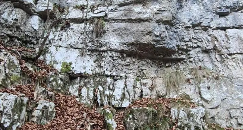 Altopiano di Asiago: una cinquantenne precipita dal sentiero e muore