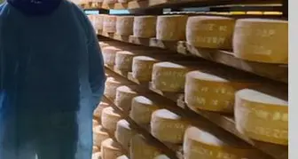 «Caseifici trentini, chi ha sbagliato dovrà renderne conto»