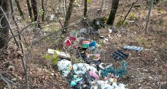 Aldeno, scoperta nel bosco una discarica a cielo aperto