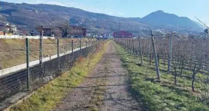 Tra Lavis e Zambana in bicicletta e a piedi: ciclopedonale verso l'appalto