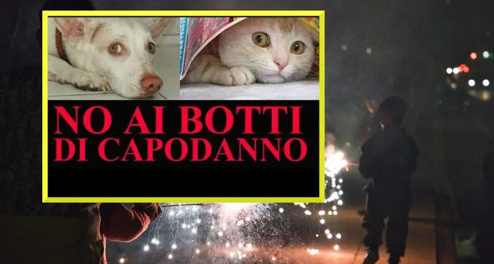 Wwf contro i \"botti\": terrorizzano gli animali, possono ferire le persone e creano pericoli di incendio