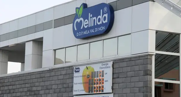 Melinda, si attendono dati di vendita in calo: pesa il fattore climatico