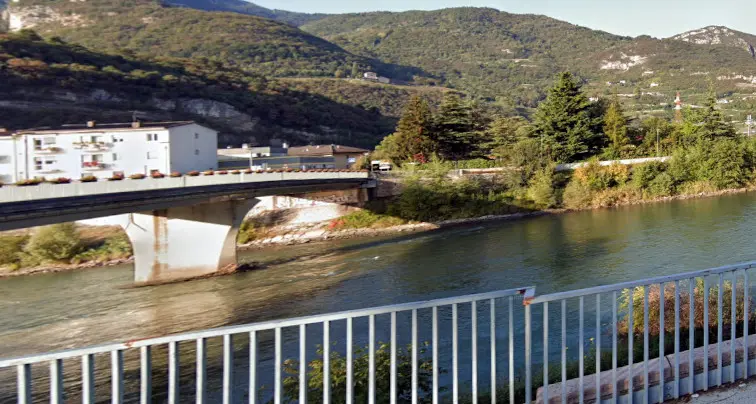 Coppola: «Il taglio degli alberi sull'argine dell'Adige è una devastazione che aumenta i rischi»