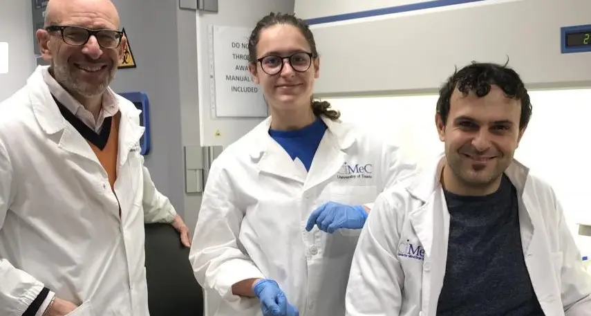 Ricerca trentina sull'autismo: l'N-acetilcisteina riduce l'infiammazione del cervelletto