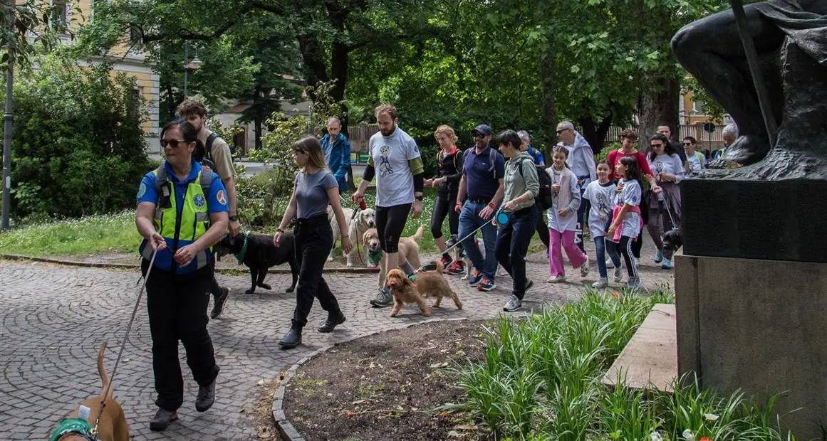 Sei zampe, un grande cuore: a Riva la “maratona” con i cani