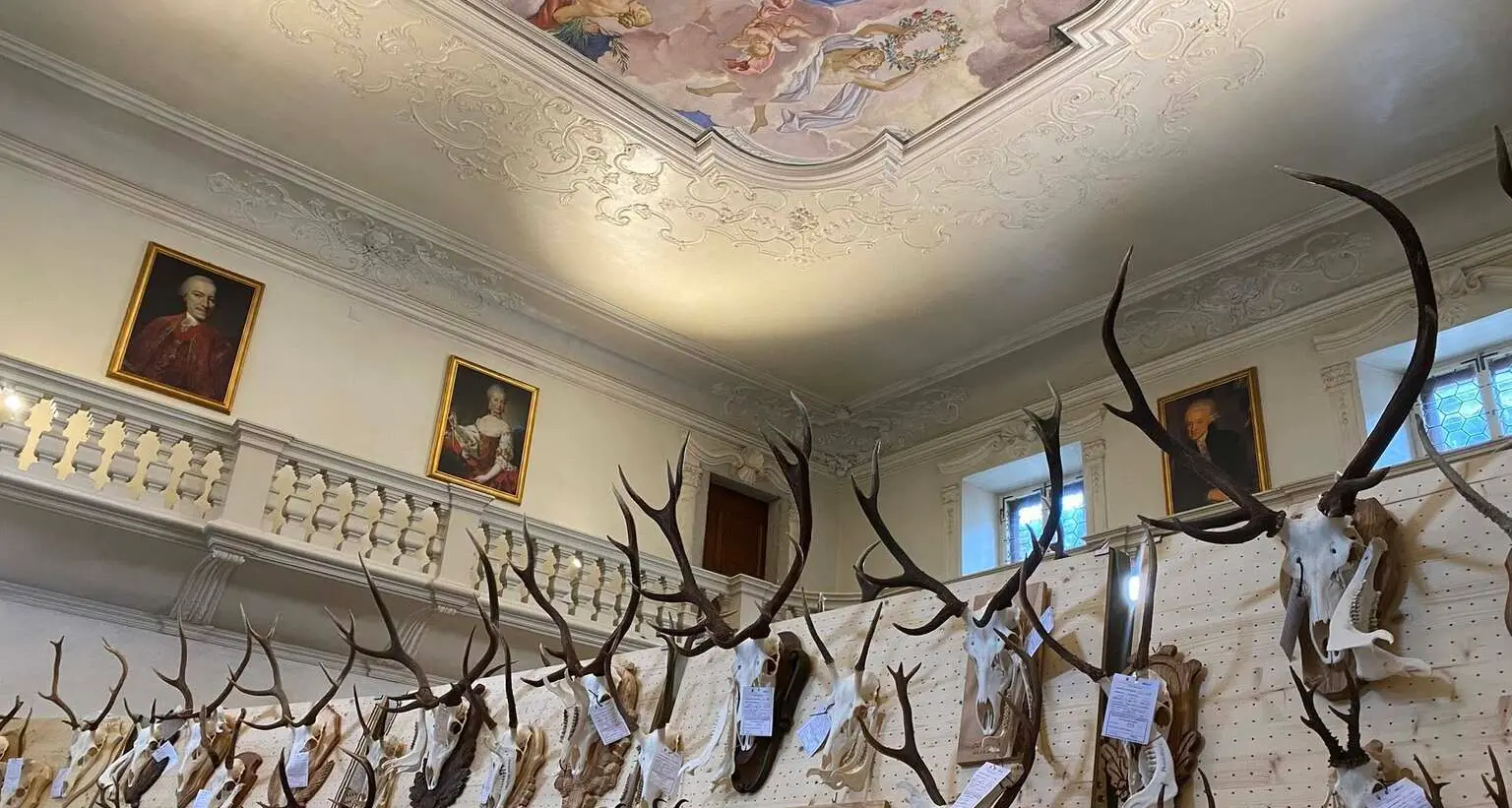 Ala, la mostra dei trofei di caccia scatena le polemiche