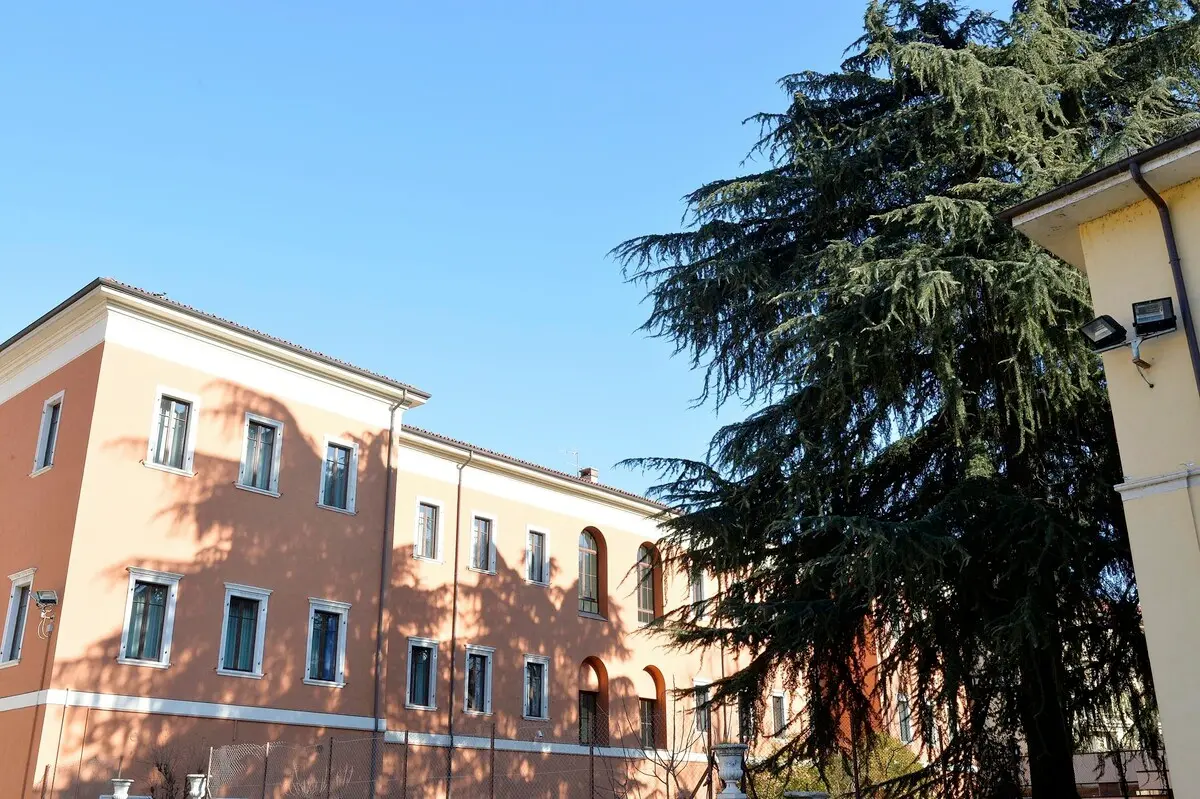 CEDRI GIARDINO INTERNO LICEO PRATI FOTO DI ALESSIO COSER