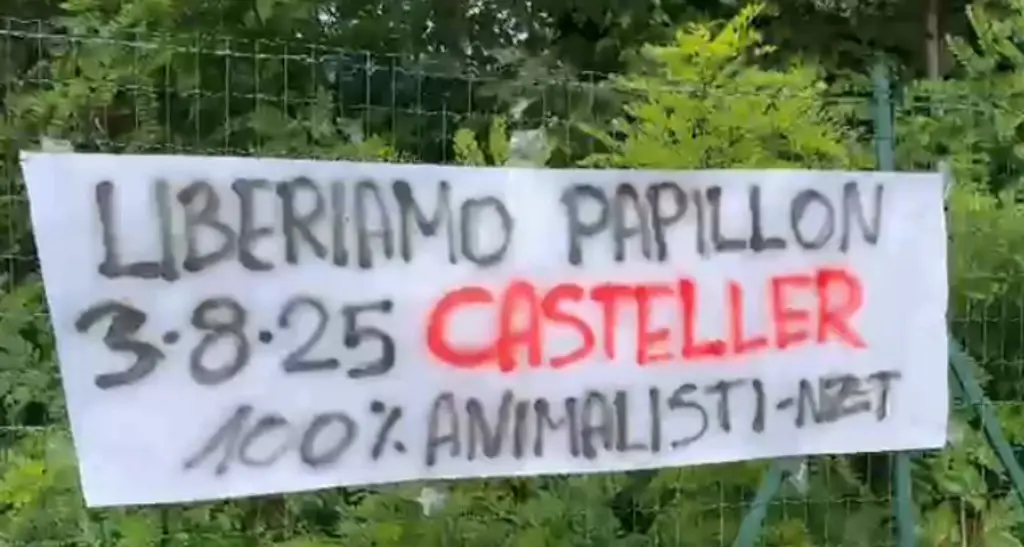 Casteller, manifestazione per chiedere che sia liberato l'orso Papillon