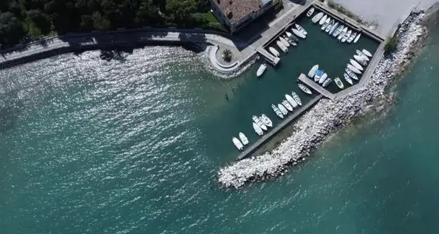 Sul Garda calano i pesci: scatta il censimento per favorire la ripresa