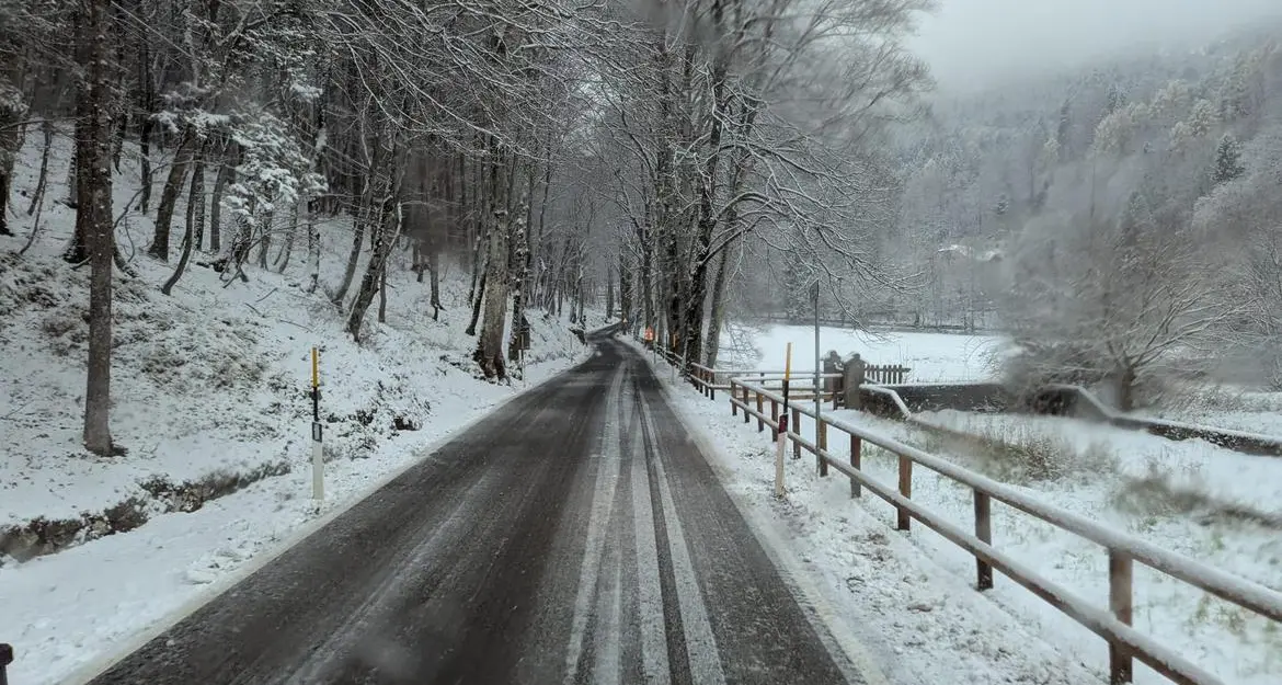 Neve a quote basse in Trentino, ecco le strade dove fare più attenzione
