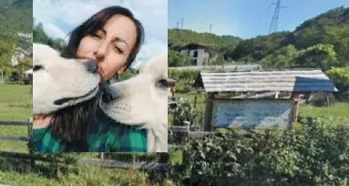 Monte Terlago, due asini avvelenati nella fattoria didattica
