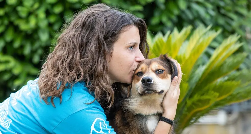 “Un inverno senza gabbie”, a Trento la campagna per adottare i cani nei mesi più freddi