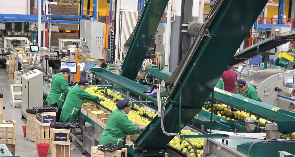 Melinda, previsto un fatturato in crescita fino al 15% nel 2026